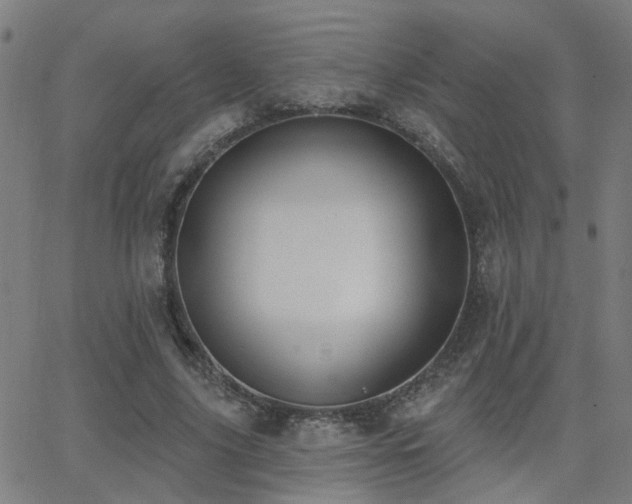 X0000062860635200601131416