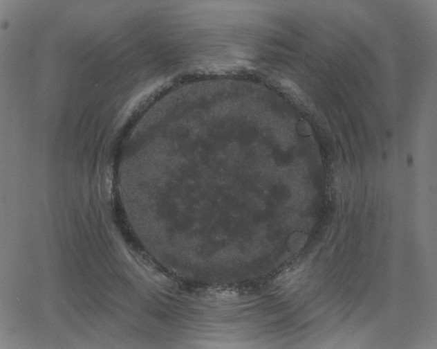X0000062860640200601131416