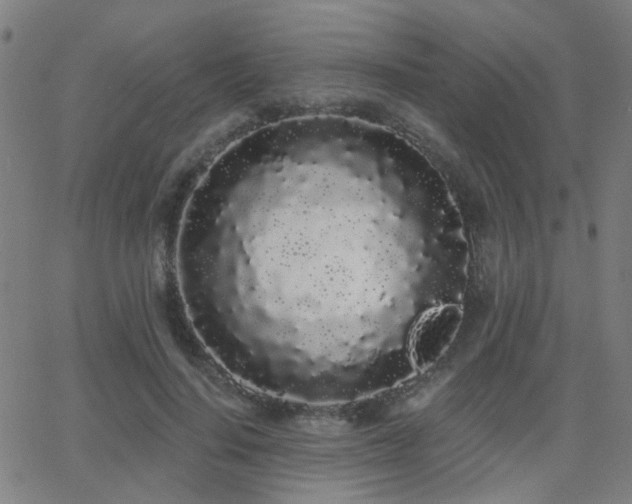 X0000062860644200601131416