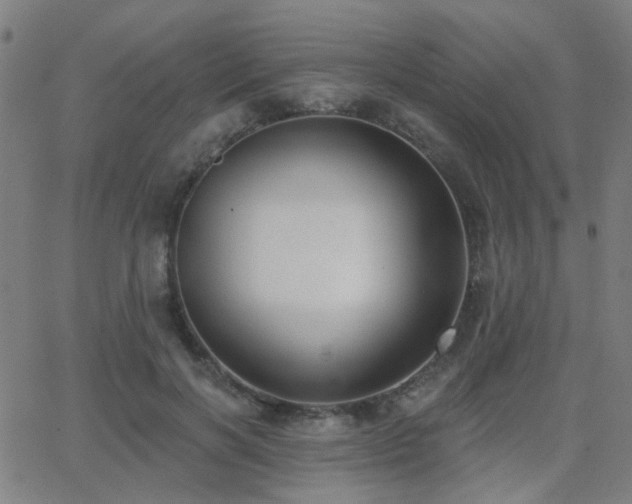 X0000062860646200601131417