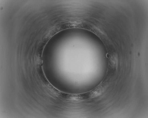 X0000062860657200601131417