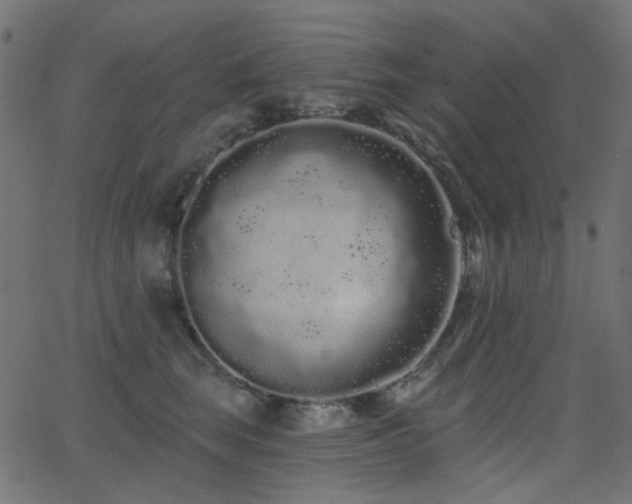 X0000062860663200601131417