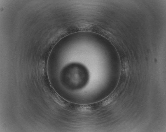X0000062860664200601131417
