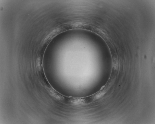 X0000062860670200601131417