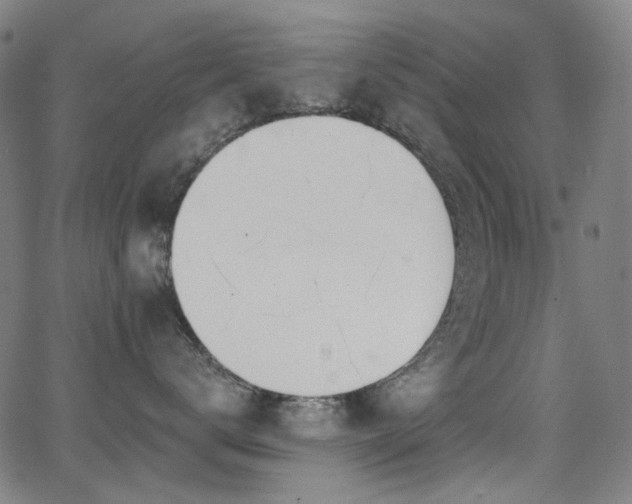 X0000062860672200601131417