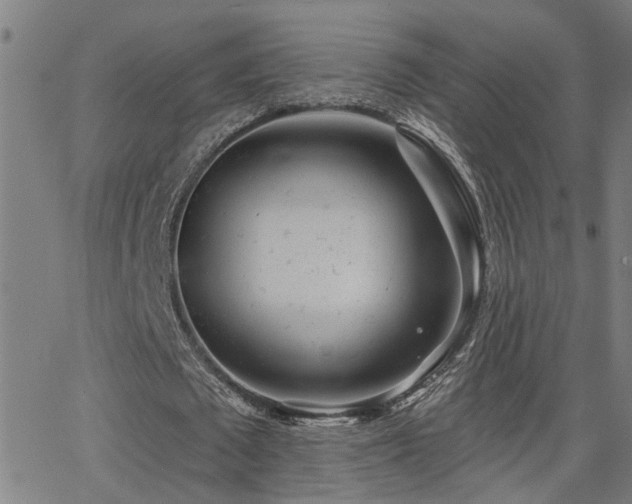 X0000062860673200601131416