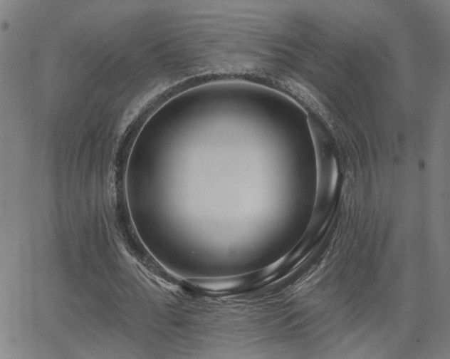 X0000062860676200601131416