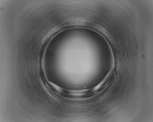 X0000062860677200601131416