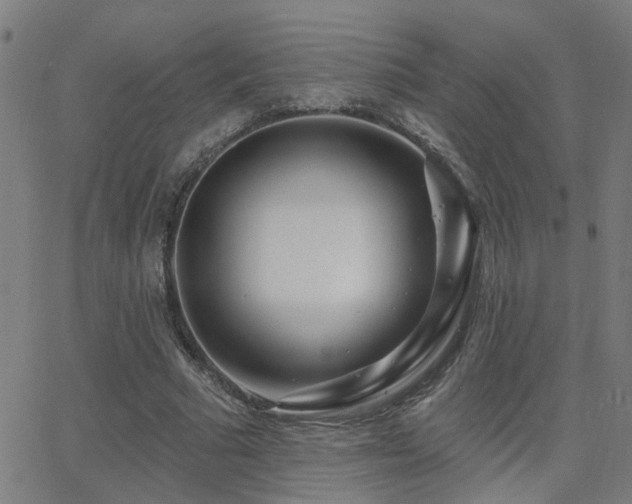 X0000062860681200601131416