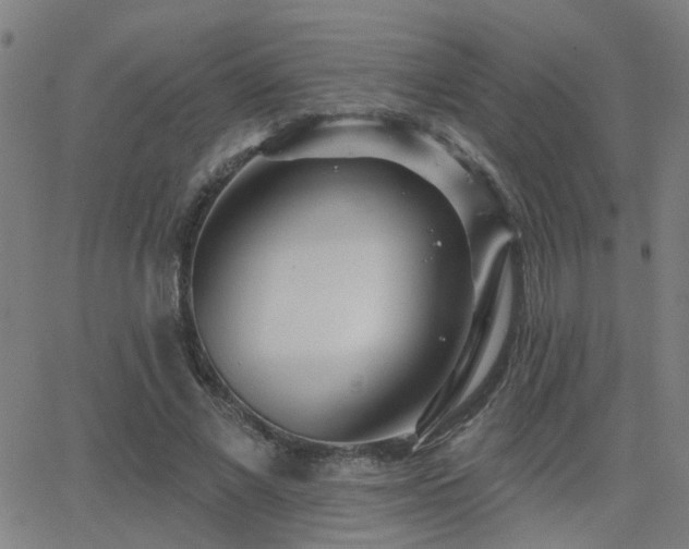 X0000062860685200601131416