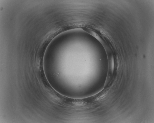 X0000062860693200601131416