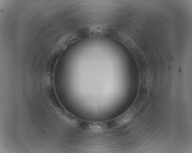 X0000062860706200601131416