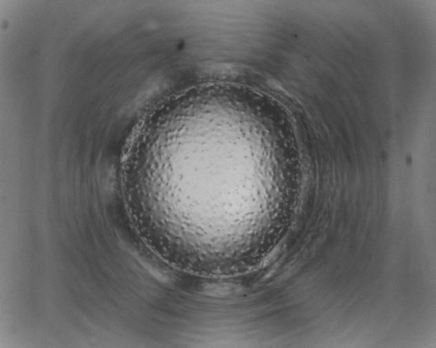 X0000062860708200601131416