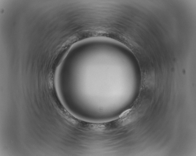 X0000062860719200601131415