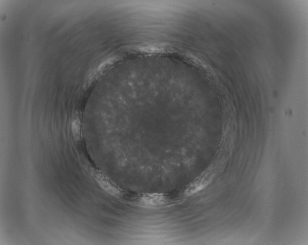 X0000062860720200601131415