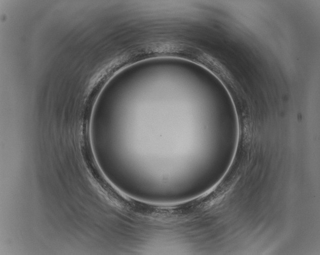 X0000062860725200601131415