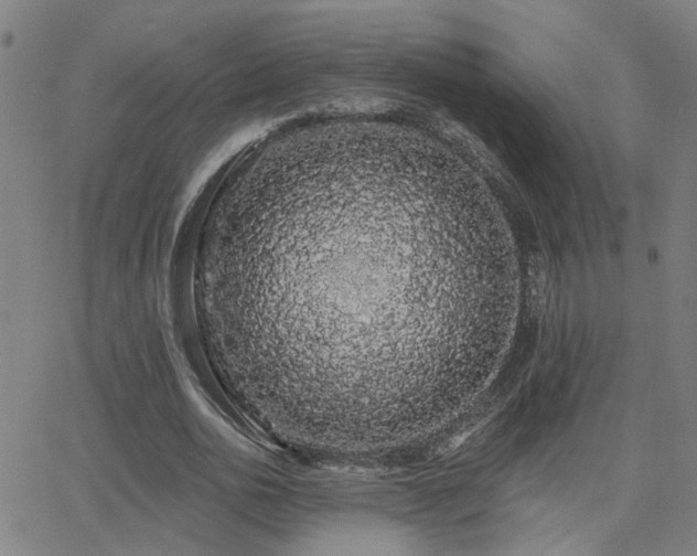 X0000062860726200601131415