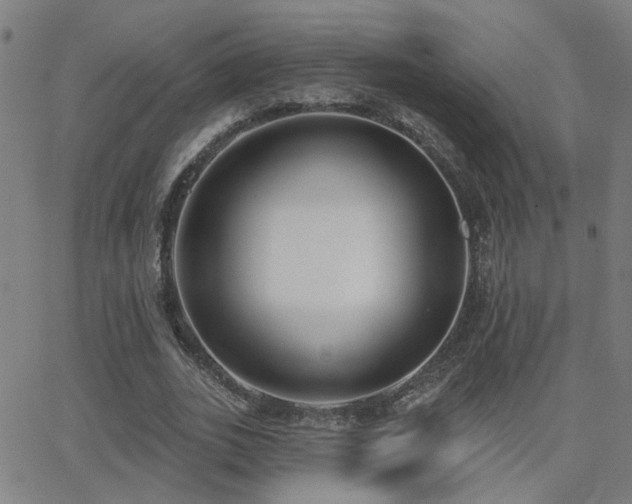 X0000062860727200601131415