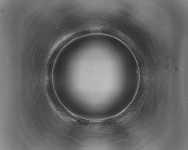 X0000062860728200601131415
