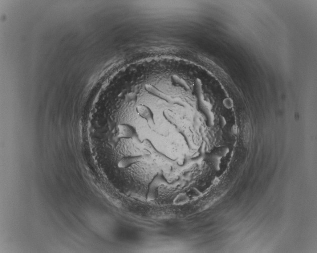 X0000062860729200601131415