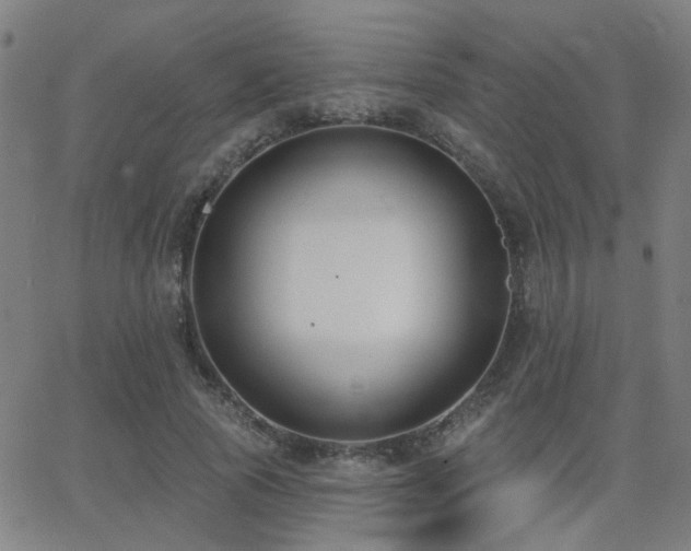 X0000062860737200601131415