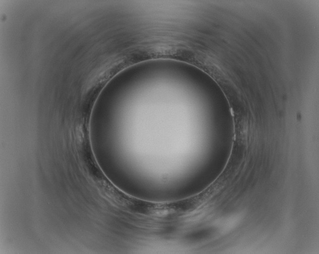 X0000062860746200601131415