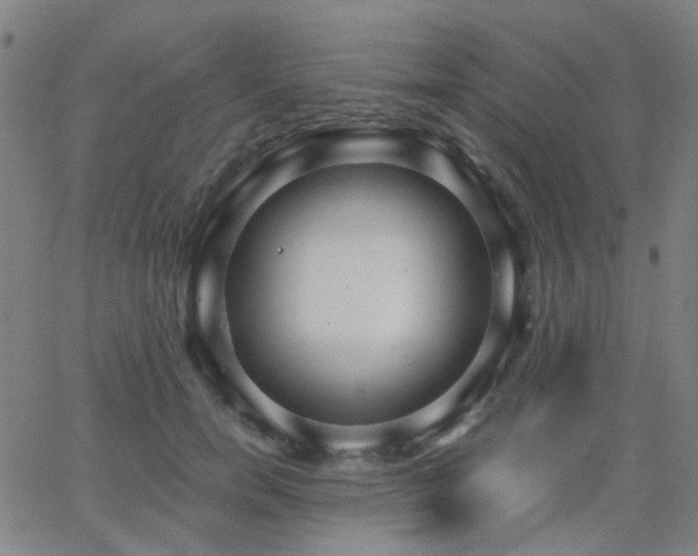 X0000062860750200601131415