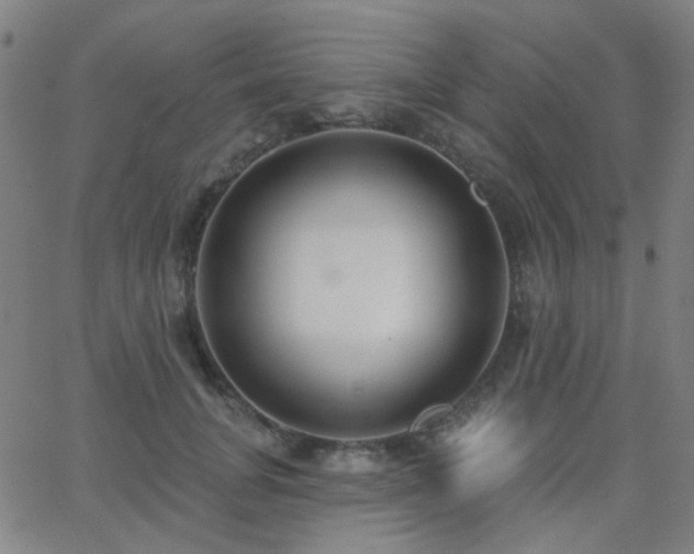 X0000062860751200601131415
