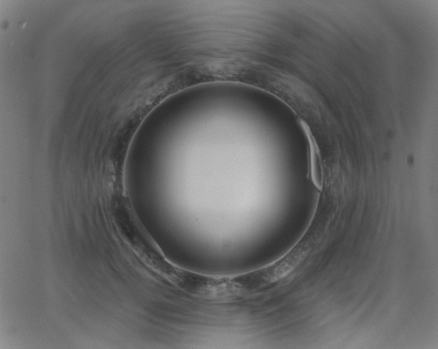 X0000062860752200601131415