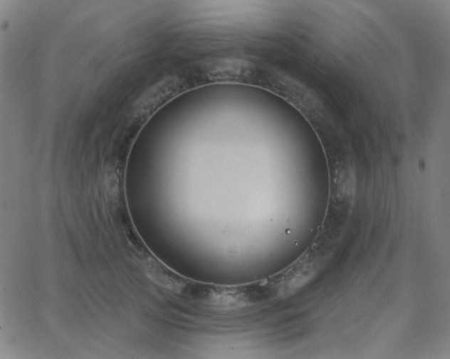 X0000062860753200601131415