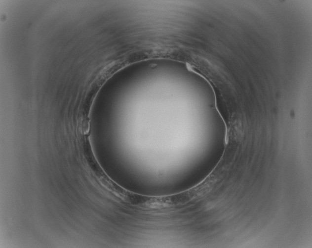 X0000062860756200601131415