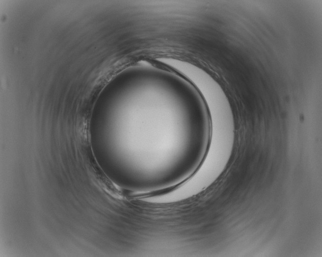 X0000062860766200601131415