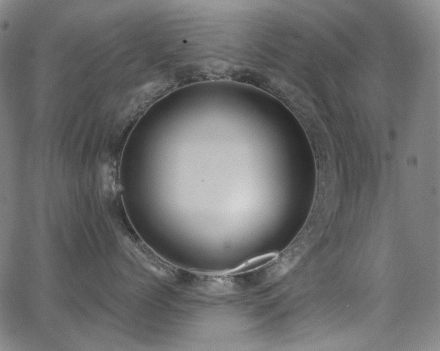 X0000062860768200601131415
