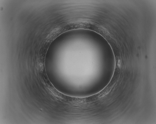 X0000062860771200601131414