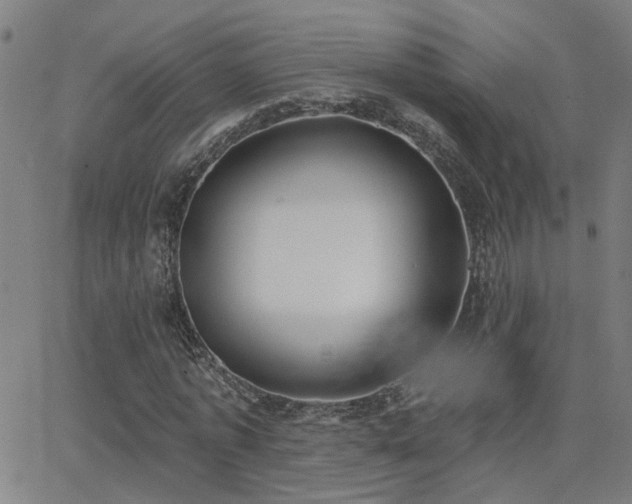 X0000062860773200601131414