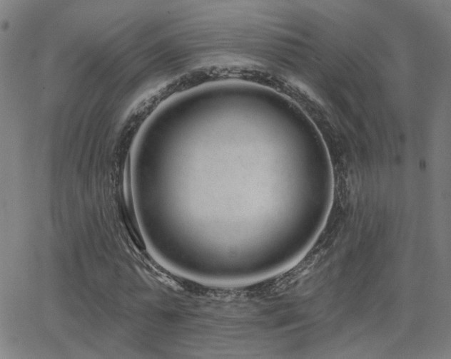 X0000062860775200601131414