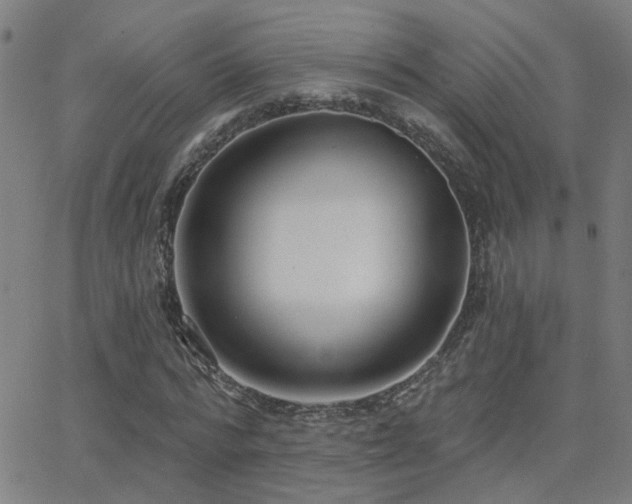 X0000062860776200601131414