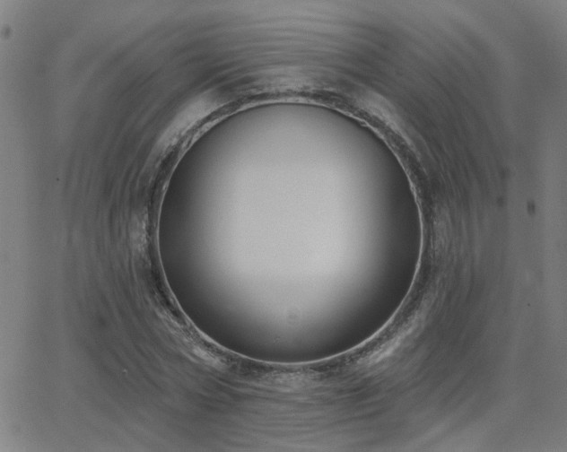 X0000062860778200601131414