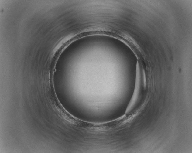 X0000062860781200601131414