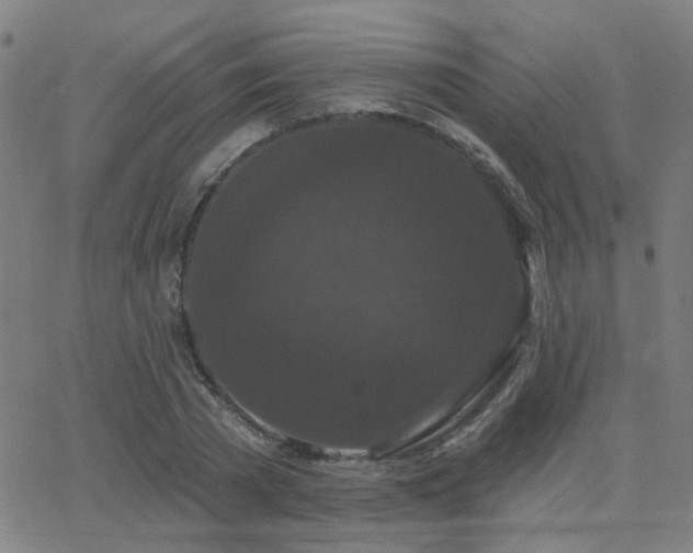 X0000062860785200601131414
