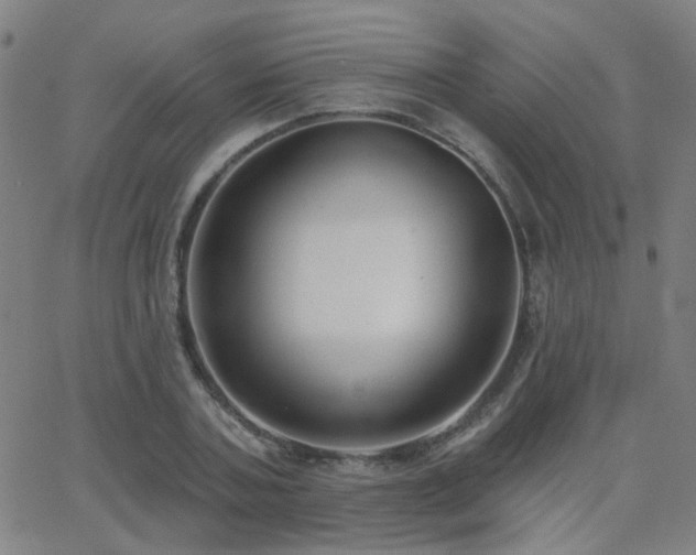 X0000062860787200601131414
