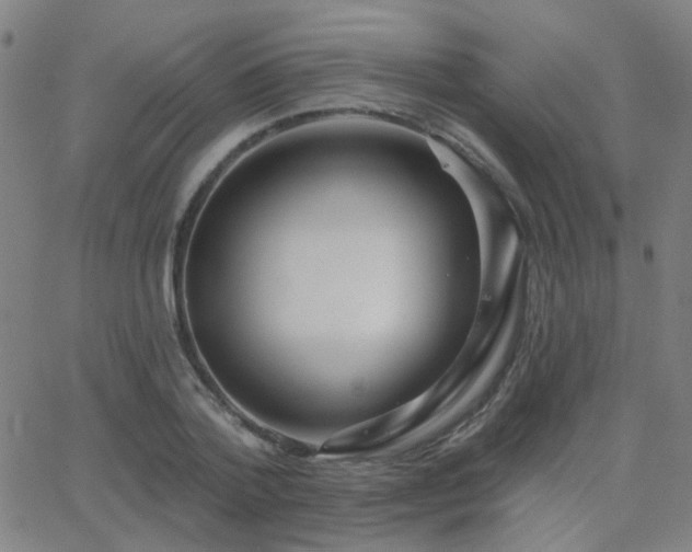 X0000062860788200601131414