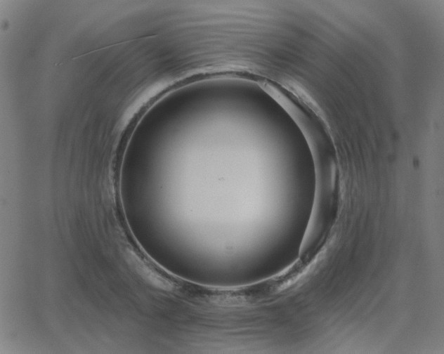 X0000062860789200601131414