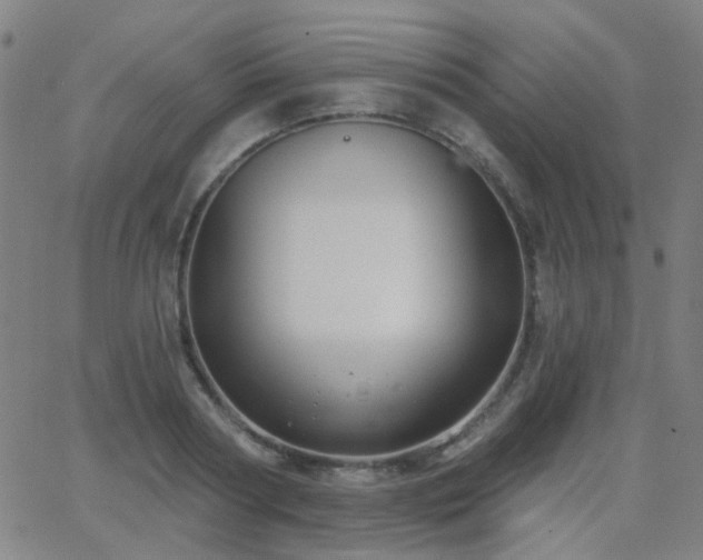 X0000062860794200601131414