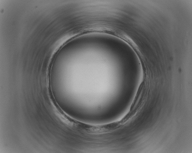 X0000062860795200601131414