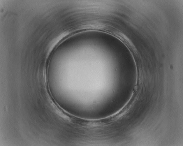 X0000062860796200601131414