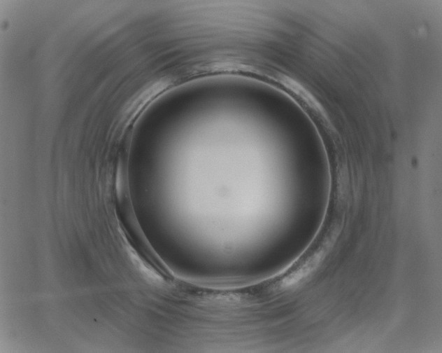 X0000062860801200601131414