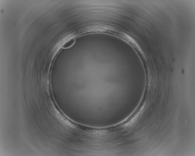 X0000062860802200601131414