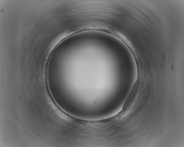 X0000062860803200601131414