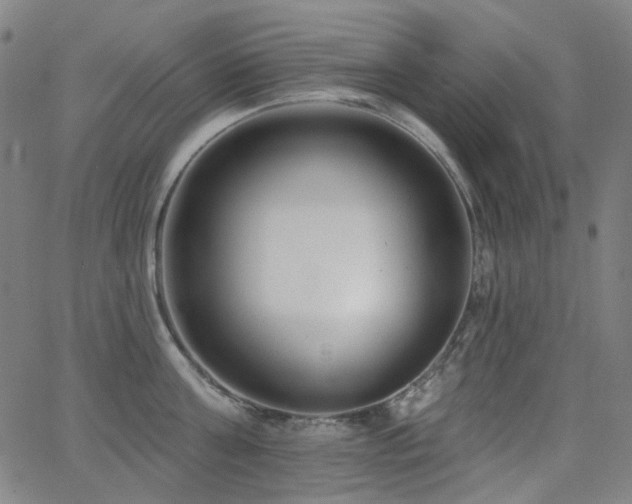 X0000062860811200601131414